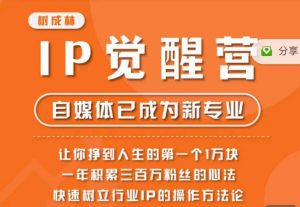 树成林·IP觉醒营，快速树立行业IP的操作方法论，让你赚到人生的第一个1万块-一起网赚吧