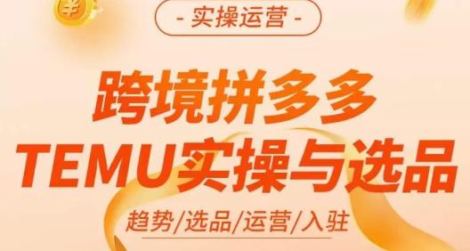 伍跃·跨境拼多多TEMU实操与选品，​趋势/选品/运营/入住（27节完整）-一起网赚吧