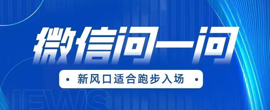 全网首发微信问一问新风口变现项目（价值1999元）【揭秘】-一起网赚吧