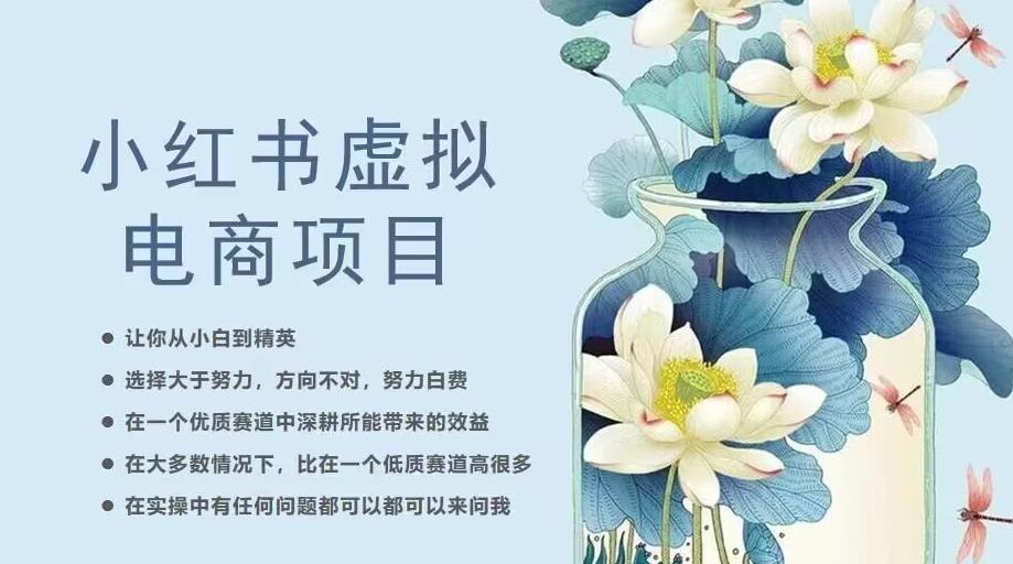 小红书虚拟电商从0到1，让你从小白到精英（20节实操课程）-一起网赚吧