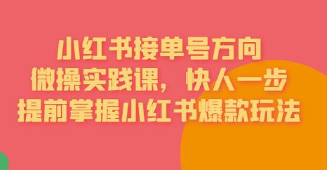 接单号方向·小红书微操实践课，快人一步，提前掌握小红书爆款玩法-一起网赚吧