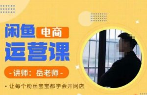岳老师·闲鱼电商运营课,让每个粉丝宝宝都学会开网店-一起网赚吧