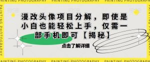漫改头像项目分解，即使是小白也能轻松上手，仅需一部手机即可【揭秘】-一起网赚吧