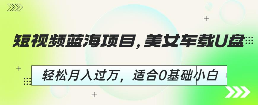 短视频蓝海项目，美女车载U盘，轻松月入过万，适合0基础小白【揭秘】-一起网赚吧