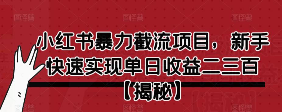 小红书暴力截流项目，新手快速实现单日收益二三百【仅揭秘】-一起网赚吧