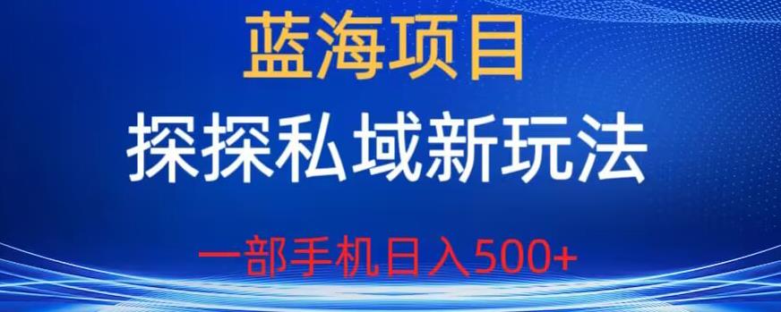 蓝海项目，探探私域新玩法，一部手机日入500+很轻松【揭秘】-一起网赚吧