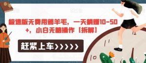 极速版无费用薅羊毛,一天躺赚10-50+,小白无脑操作【拆解】-一起网赚吧