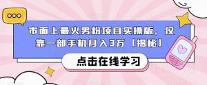 市面上最火男粉项目实操版，仅靠一部手机月入3万【揭秘】-一起网赚吧