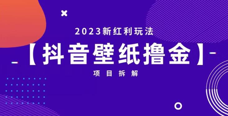 抖音壁纸小程序创作者撸金项目，2023新红利玩法【项目拆解】-一起网赚吧