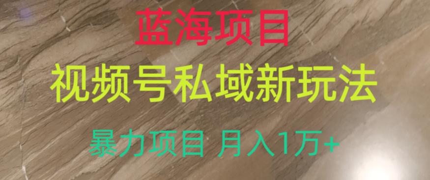 蓝海项目，视频号私域新玩法，暴力项目月入1万+【揭秘】-一起网赚吧