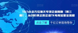 TikTok全方位通关专项企业陪跑【第三期】,从0到1真正的企业TK电商运营全流程-一起网赚吧