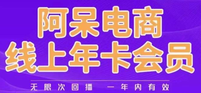 阿呆电商线上年会员，阿呆电商干货分享（更新中）-一起网赚吧