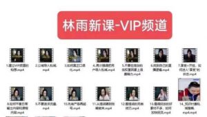 林雨新课VIP频道，玩赚私域/朋友圈/社群-一起网赚吧