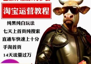 猫老师·淘系算法逆向解密,纯黑纯白玩法,七天上首页纯搜索,手淘首页14天流量过万-一起网赚吧