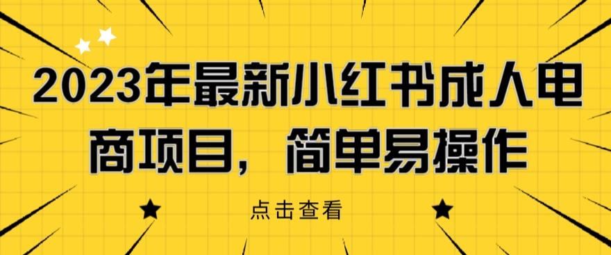 2023年最新小红书成人电商项目，简单易操作【详细教程】【揭秘】-一起网赚吧