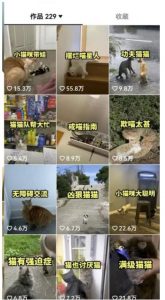 拆解抖音盘点类中视频变现副业项目，视频版一条龙大解析分享给你【视频课程】-一起网赚吧