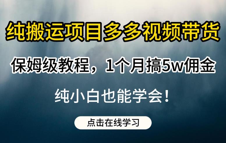 纯搬运项目多多视频带货保姆级教程，1个月搞5w佣金，纯小白也能学会【揭秘】-一起网赚吧