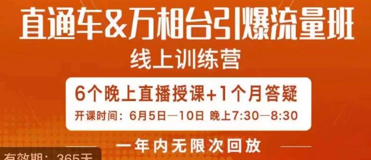 直通车&万相台引爆流量班，6天打通你开直通车·万相台的任督二脉-一起网赚吧