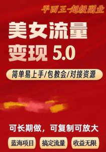 TK美女短视频变现项目无限复制（升级版），全网最高性价比项目【揭秘】-一起网赚吧