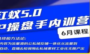 红蚁5.0IP操盘手内训营，IP操盘终极方法论-一起网赚吧