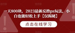 一天800块，2023最新反撸pz玩法，小白也能轻松上手【仅揭秘】-一起网赚吧
