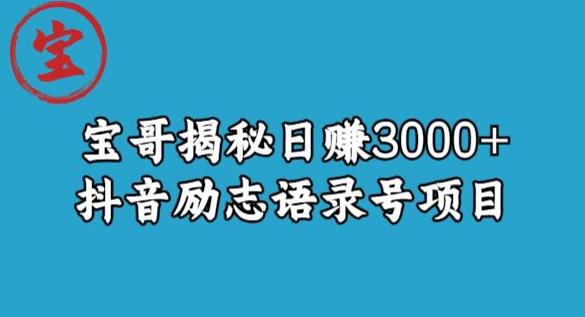 宝哥揭秘日赚3000+抖音励志语录号短视频变现项目-一起网赚吧