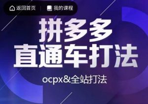 互力·拼多多直通车打法，ocpx&全站打法-一起网赚吧