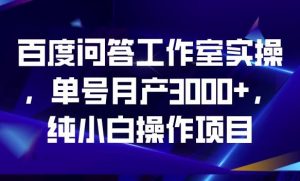 百度问答工作室实操，单号月产3000+，纯小白操作项目【揭秘】-一起网赚吧