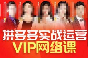 推易拼多多VIP全套直播课程,拼多多店铺实操玩法+实战玩法选款内功+直通车高阶等-一起网赚吧