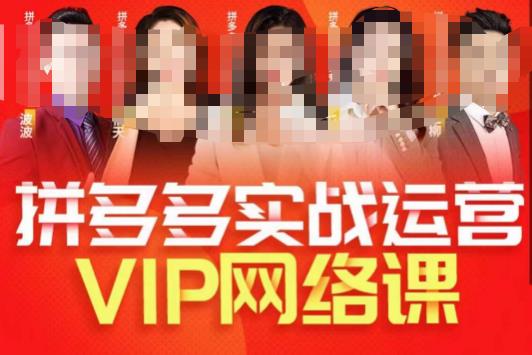 推易拼多多VIP全套直播课程，拼多多店铺实操玩法+实战玩法选款内功+直通车高阶等-一起网赚吧