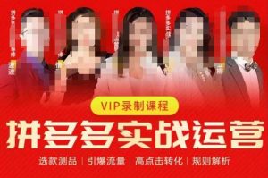 2023推易拼多多实战运营，选款测品、引爆流量、高点击转化、规则解析-一起网赚吧