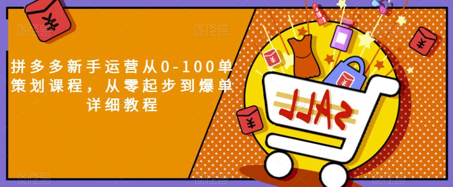 拼多多新手运营从0-100单策划课程，从零起步到爆单详细教程-一起网赚吧