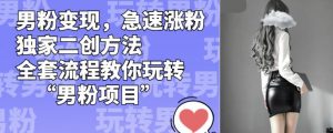 男粉变现，急速涨粉独家二创方法，全套流程教你玩转“男粉项目”【揭秘】-一起网赚吧