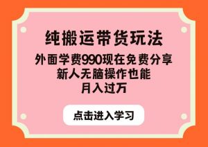 纯搬运带货玩法,外面学费990现在免费分享,新人无脑操作也能月入过万【揭秘】-一起网赚吧