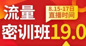 秋秋线上流量密训班19.0,打通流量关卡,线上也能实战流量破局-一起网赚吧