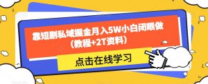 靠短剧私域掘金月入5W小白闭眼做（教程+2T资料）-一起网赚吧