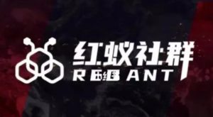 社群运营：红蚁社群【48节落地系统课程+2000人高端社群】-一起网赚吧