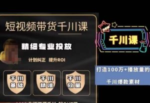 短视频带货-千川专业投放课，​精细化专业投放，计划纠正，提升ROI-一起网赚吧