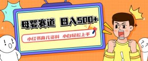 小红书育儿资料,一部手机可操作,多种变现方式,日入500+,私域变现,长期可持续项目【揭秘】-一起网赚吧