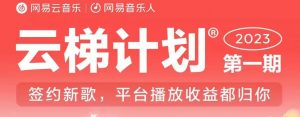 2023年8月份网易云最新独家挂机技术，真正实现挂机月入5000【揭秘】-一起网赚吧