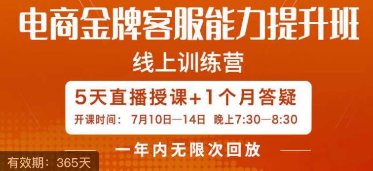 电商金牌客服能力提升班，提升客服能力是你店铺业绩的关键要素-一起网赚吧