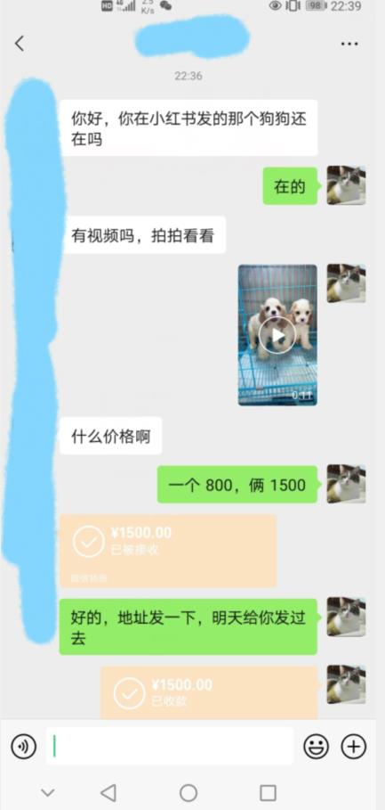外边收费3980的同城萌宠项目，用最冷门的玩法冲击最热门的市场【揭秘】-一起网赚吧