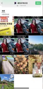 外面收费198的最新视频号连怼技术,条条原创,条条爆单【揭秘】-一起网赚吧