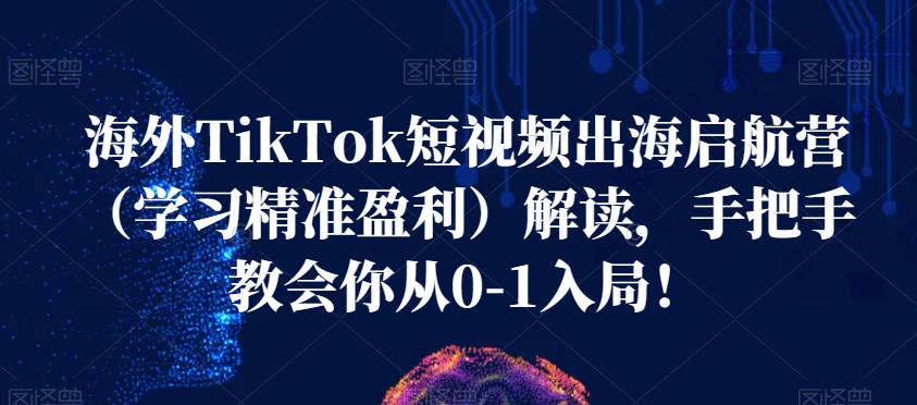 海外TikTok短视频出海启航营（学习精准盈利）解读，手把手教会你从0-1入局！-一起网赚吧