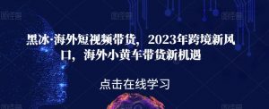 黑冰·海外短视频带货,2023年跨境新风口,海外小黄车带货新机遇-一起网赚吧