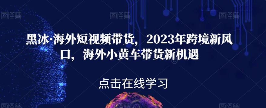 黑冰·海外短视频带货，2023年跨境新风口，海外小黄车带货新机遇-一起网赚吧