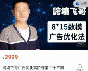 跨境飞哥·广告优化高阶课第二十三期,8*15数模广告优化法,用数据驱动决策-一起网赚吧