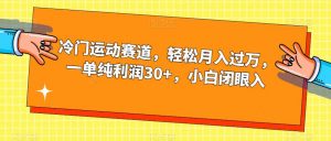 冷门运动赛道，轻松月入过万，一单纯利润30+，小白闭眼入【揭秘】-一起网赚吧