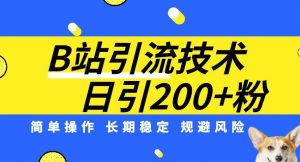 B站引流技术：每天引流200精准粉，简单操作，长期稳定，规避风险-一起网赚吧