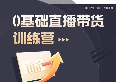 2023直播带货入门进阶运营实训课程，新手直播运营培训实操课-一起网赚吧